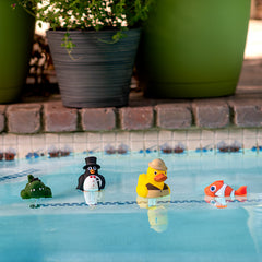 Poolmaster Clownfish Pool Thermometer 25304 alternate view 2