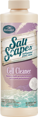 BioGuard Mineral Springs 32oz Salt Cell Cleaner 23242BIO