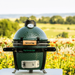 Mini BGE Original Kit
